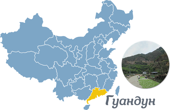 провинция Гуандун